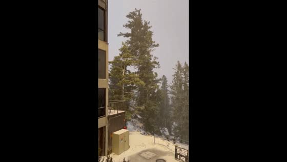 Thundersnow blankets Palm Springs Aerial Tramway
