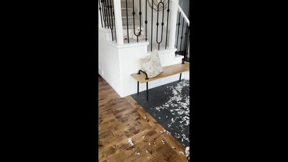 Mischievous dog makes a mess inside the house in Saskatoon, Canada