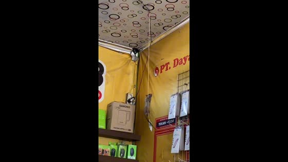 Rat hangs and swings on CCTV cable in Central Java, Indonesia