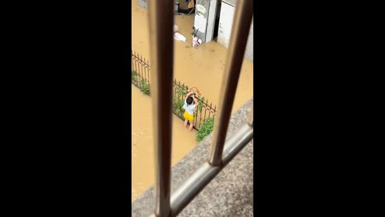 Child rescues cat from deep floodwater in Fujian, China