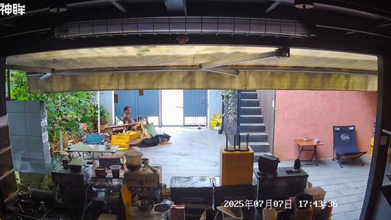 Dog skids and crashes into table and chair while running to owner in Yunnan, China