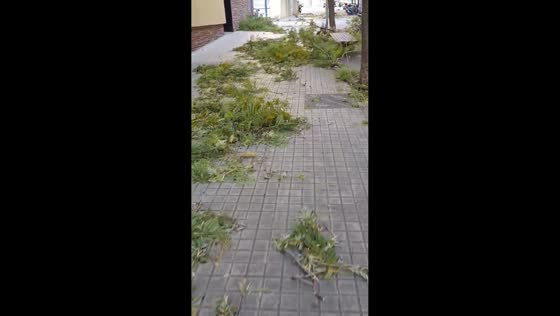 Storm Nils batters with damaging winds and debris in Barcelona, Spain