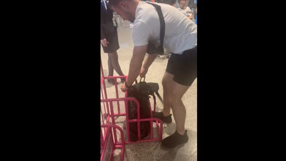 Passenger battles stuck luggage at Katowice Airort