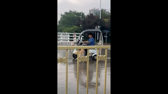 Dog keeps pace beneath moving three-wheeled e-bike in Hebei, China