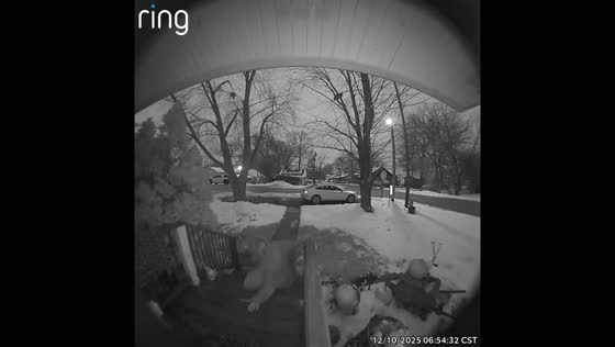 Woman slips on stairs during snowy weather in Trevor, Wisconsin, USA