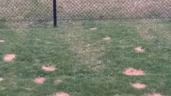 Massive hailstorm pelts yard in Oswego, Illinois, USA