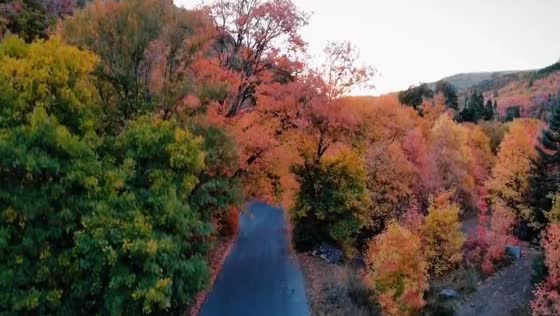 Leaf peeping in Butterfield Canyon, Utah