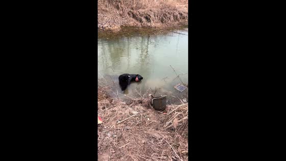 Boy rescues man from drowning in Anhui, China