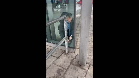 Rescued: baby bird freed from glass walls trap