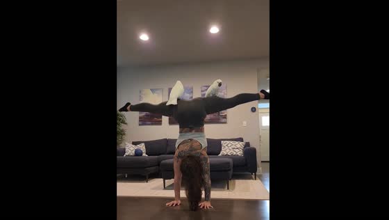 Cockatoos balance with their owner while practicing handstands