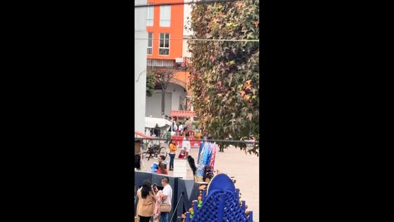 Clever dog throws trash and jumps into owner's arms in Metepec, Mexico
