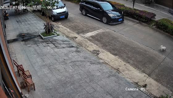 Car rear-ended after stopping for dog on road in Hunan, China