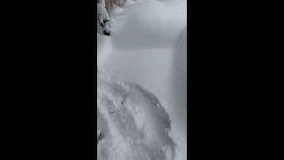 Knee-deep lake-effect snow during winter storm in Ontario, Canada