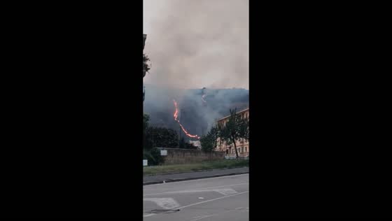 Wildfire ravages Camaldoli Hill, Soccavo, Naples