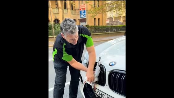 Seagull stuck on car grille freed in New South Wales