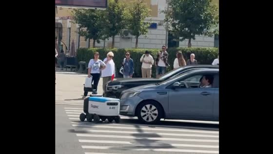 Car collides with delivery robot at pedestrian crossing in Moscow, Russia