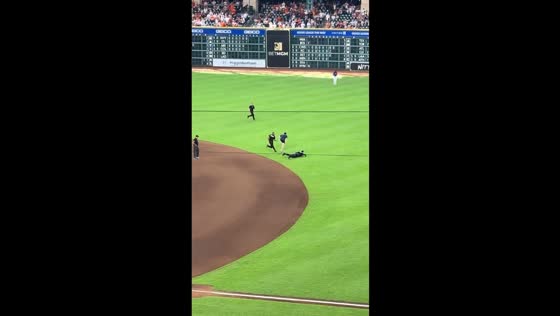 Fan dash ends in a quick catch in Houston, Texas, USA