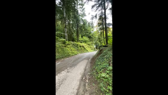 Cyclist crashes after jumping across road in Annecy, France