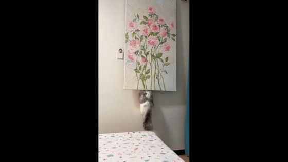Mischievous cat sneaks under wall painting in Beijing, China