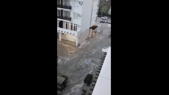 Sirius shock: massive waves devastate Sochi's coastline