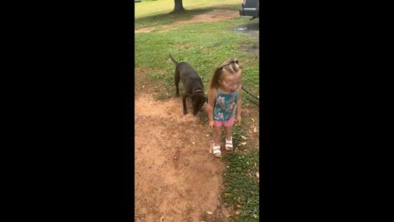 Girl cries after dog takes her cicada in Anderson, South Carolina