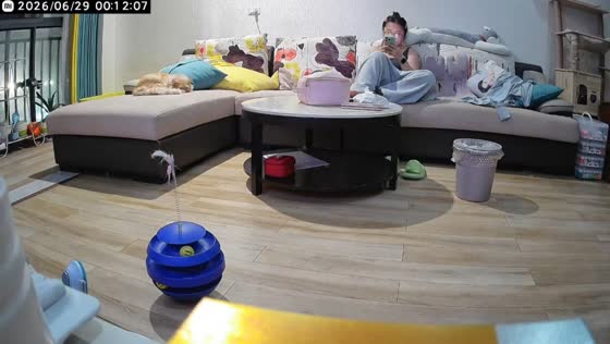 Cats scatter as 5.5-magnitude earthquake shakes home in Yibin, China
