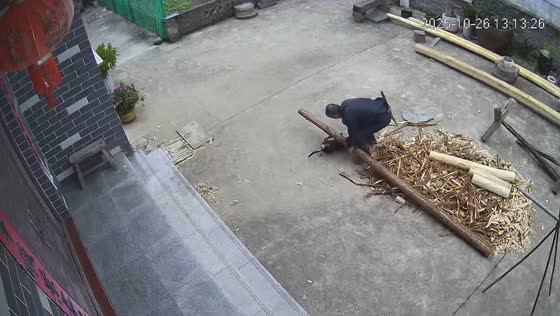 Heavy log falls on small dog in Anhui, China