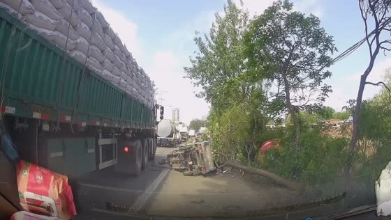 Miraculous escape: elderly couple narrowly avoids injury as tree collapses on tricycle amid traffic jam