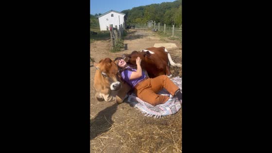 Cuddling with cows in Ellicott City