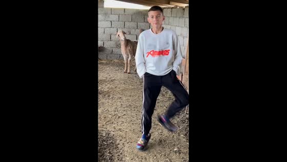 Sheep reacts curiously to boy’s dancing in Dagestan, Russia