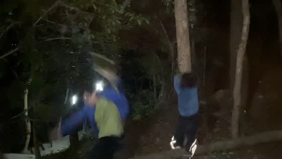 Branch snaps during playful father-daughter moment in Zhejiang, China