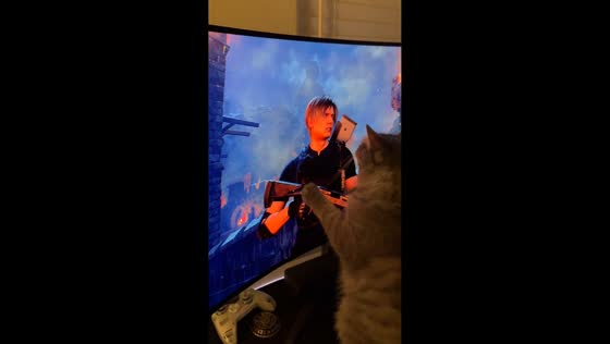Cat repeatedly licks screen showing Leon Kennedy in College Station, Texas, USA