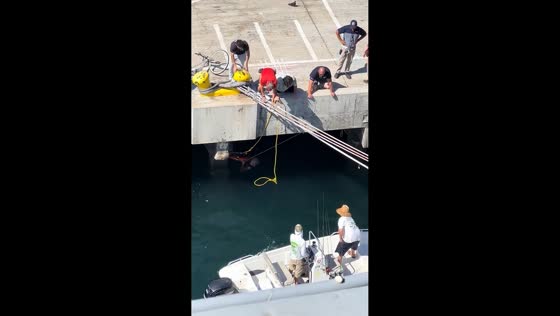 Rescuers help struggling man from water near harbor dock in San Diego, USA