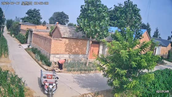 Woman’s tricycle rolls away during onion theft in Henan, China