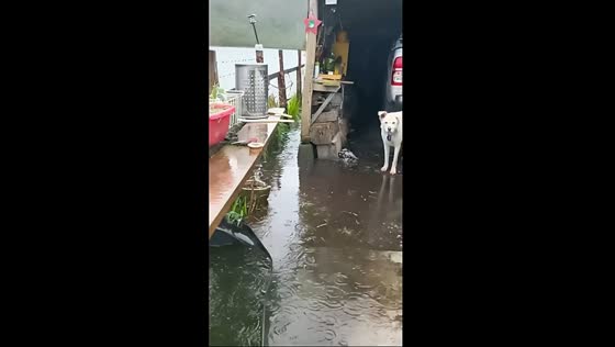 Chiloé floods: resilience amidst the year's peak sea rise
