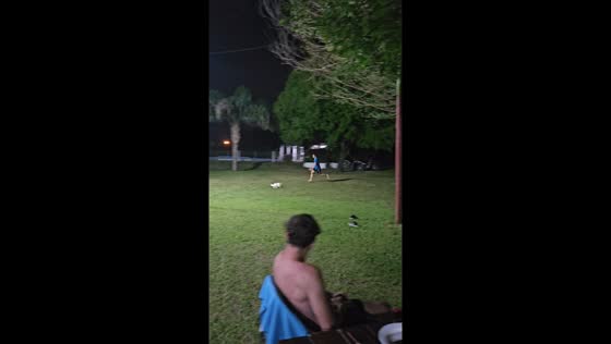 Rabbit's escape: friends' chase takes a tumble