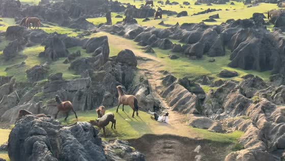Woman knocked down by horse in field in Jiangsu, China