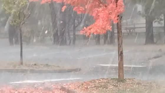 Intense hailstorm blankets outdoor areas as severe thunderstorms hit Show Low, USA