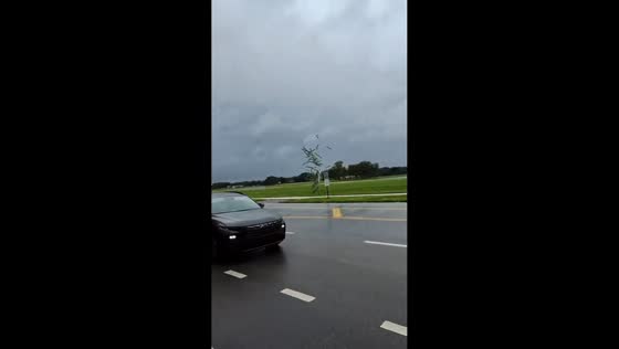 Speeding driver slowed after playful roadside moment in Newfoundland, Canada