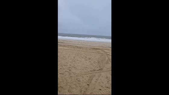 Rough seas from Hurricane Erin at Rehoboth Beach, Delaware, USA