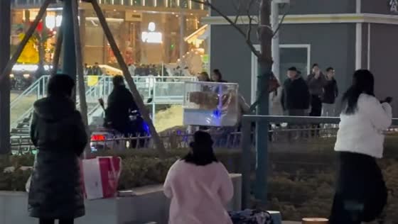 Police seen chasing a candied haw seller in Henan, China