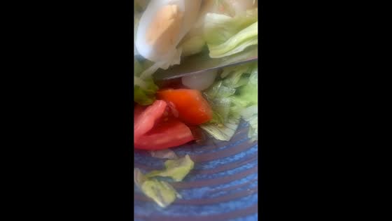Diners discover live cockroach crawling in salad at Benidorm restaurant, Spain