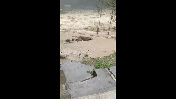 Fast-moving flood sweeps through a residential area in Chongqing, China