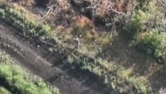 Russian soldier destroys Ukrainian drone with rifle butt