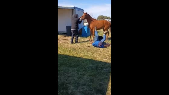 First attempt mounting new horse ends in funny fall in Hallettsville, Texas, USA