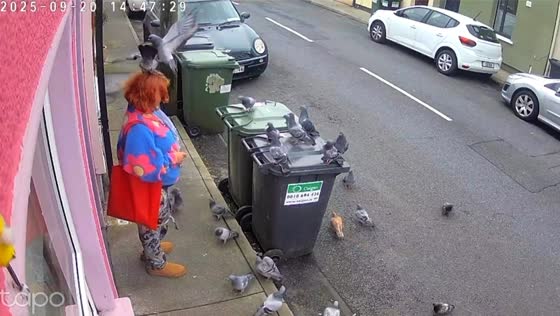 Flock of pigeons swarm woman outside store in Waterford, Ireland