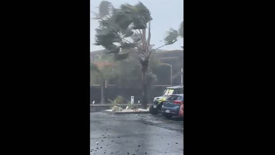 Tropical storm Ernesto hits Saint Martin with strong winds and rain
