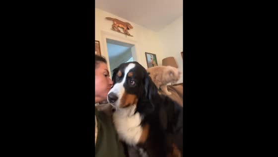 Surprise sniff: dog gets a taste of his own medicine
