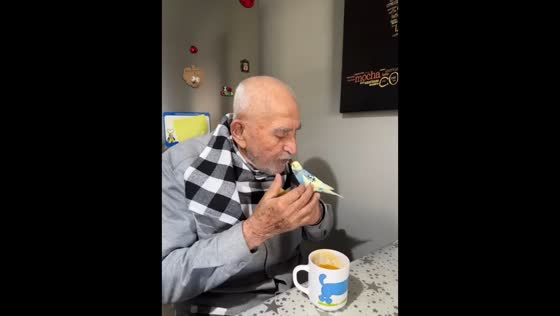Bird stays close to owner during breakfast in Ankara, Turkey