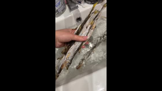 Kids play with dried fish in sink in Khabarovsk, Russia